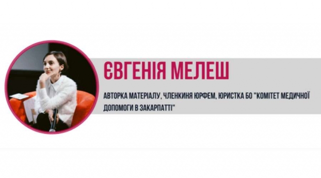 Юристка БО "КМДЗ" підготувала аналітичну записку щодо законопроєкту "Про надання захисту іноземцям та особам без громадянства"