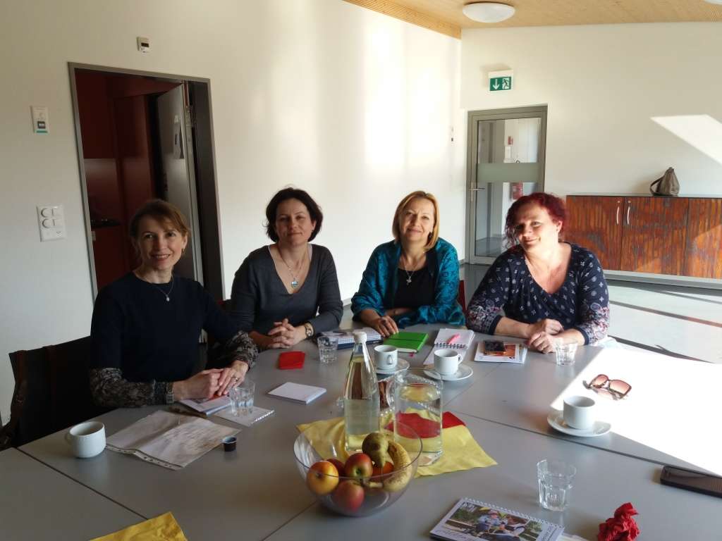 Early intervention service: introductory practice in Switzerland